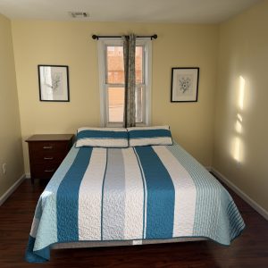 two-bedroom-apartment-117-sumner-ave-unit-2 (5)